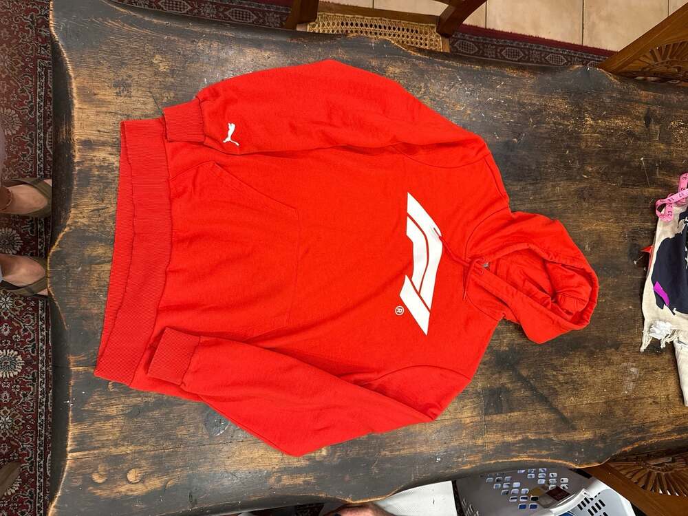 PUMA Formula 1 Essentials Logo Motorsport Men's Hoodie Red